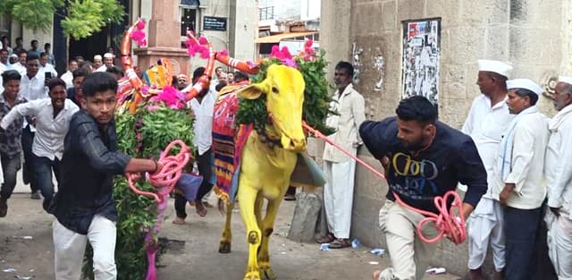 ಚಡಚಣ ಕಾರಹುಣ್ಣಿಮೆ ಸಂಭ್ರಮ – ಕರಿ ಹರಿದ ಎತ್ತುಗಳು;ಎರಡೂ ಓಡುವದರಲ್ಲಿ ಸಮ, ಹಿಂಗಾರಿ,ಮುAಗಾರಿ ಮಳೆ ಬೆಳೆ ಸಮ, ರೈತರಲ್ಲಿ ಸಂತಸ