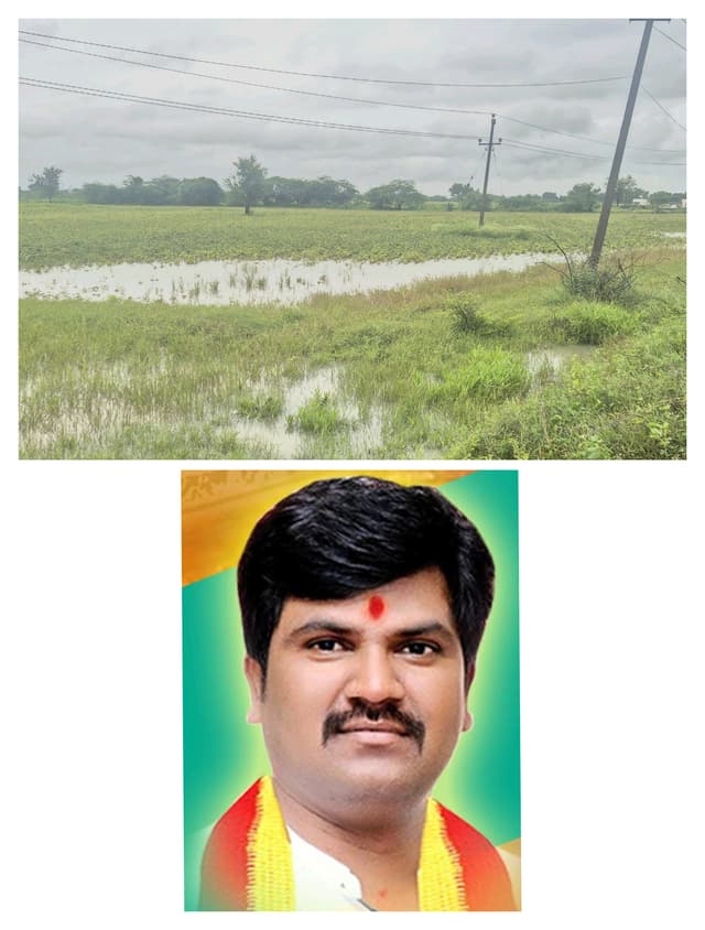 ಸತತ ಮಳೆಯಿಂದ ನೀರಲ್ಲಿ ಮುಳುಗಿದ ರೈತರ ಬೆಳೆ, ಅಪಾರ ನಷ್ಟ; ತಕ್ಷಣ ಜಂಟಿ ಸಮೀಕ್ಷೆ ಮಾಡಿ ಪರಿಹಾರ ನೀಡಿ: ಭೀಮುನಾಯಕ