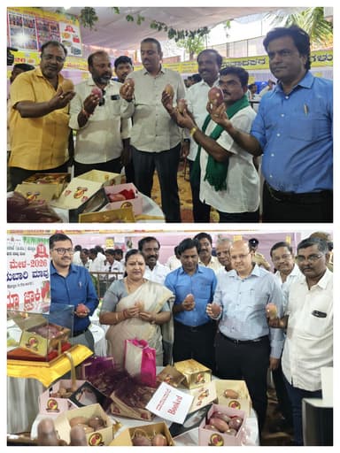 ಕೊಪ್ಪಳದಲ್ಲಿ ಹತ್ತು ದಿನಗಳ ಮಾವು ಮೇಳೆಕ್ಕೆ ಚಾಲನೆ: 200 ತಳಿಯ ಮಾವಿನ ಹಣ್ಣುಗಳ ಪ್ರದರ್ಶನ- 1 ಕೆಜಿಗೆ ರೂ.2.5ಲಕ್ಷ ಬೆಲೆಯ 'ಮೀಯಾ ಜಾಕಿ' ಮಾವು