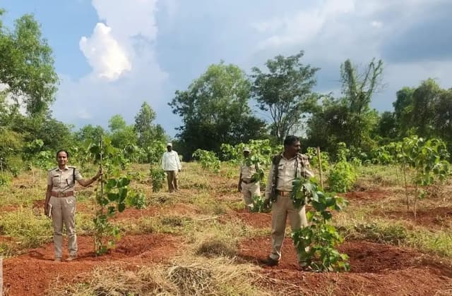 ಒತ್ತುವರಿ ಹೊಯ್ತು ಹಸಿರು ಹೆಚ್ಚಾಯ್ತು